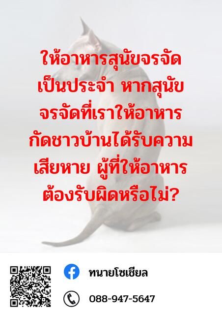ให้อาหารสุนัขจรจัด มีความผิดหรือไม่ ศาลปกครองสูงสุด อ.1751/2559