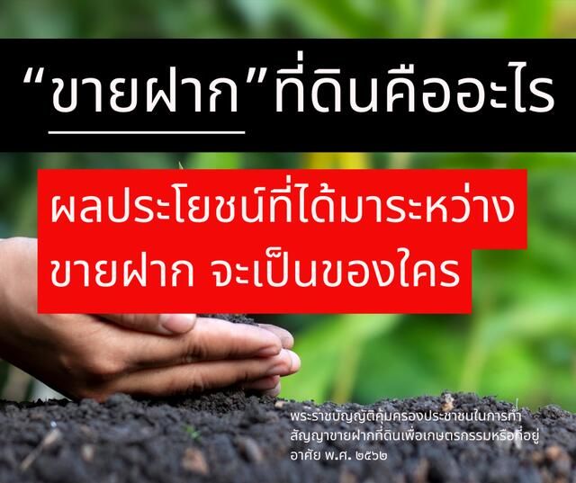 ขายฝากคืออะไร ผลของการขายฝากที่ดิน และดอกผลระหว่างขายฝากเป็นของใคร